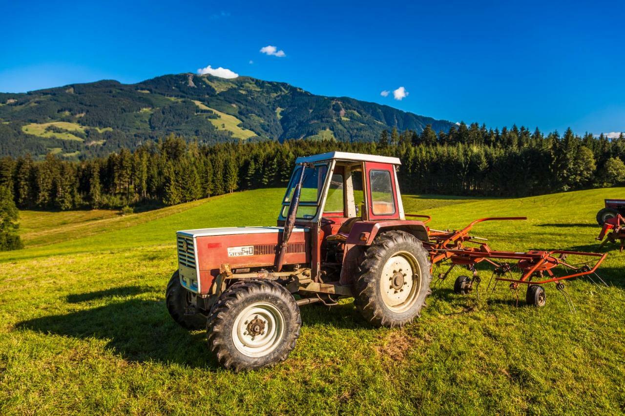 Oberstockinghof Otel Saalfelden Dış mekan fotoğraf